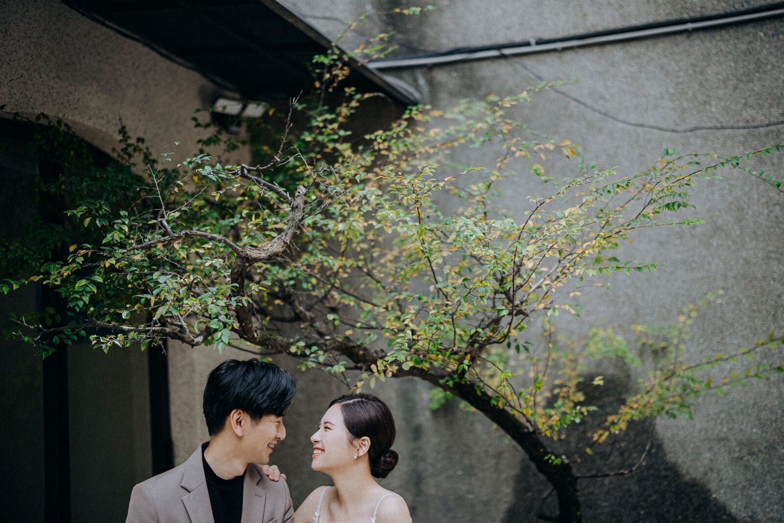 愛情婚紗 / Hirai & Vero