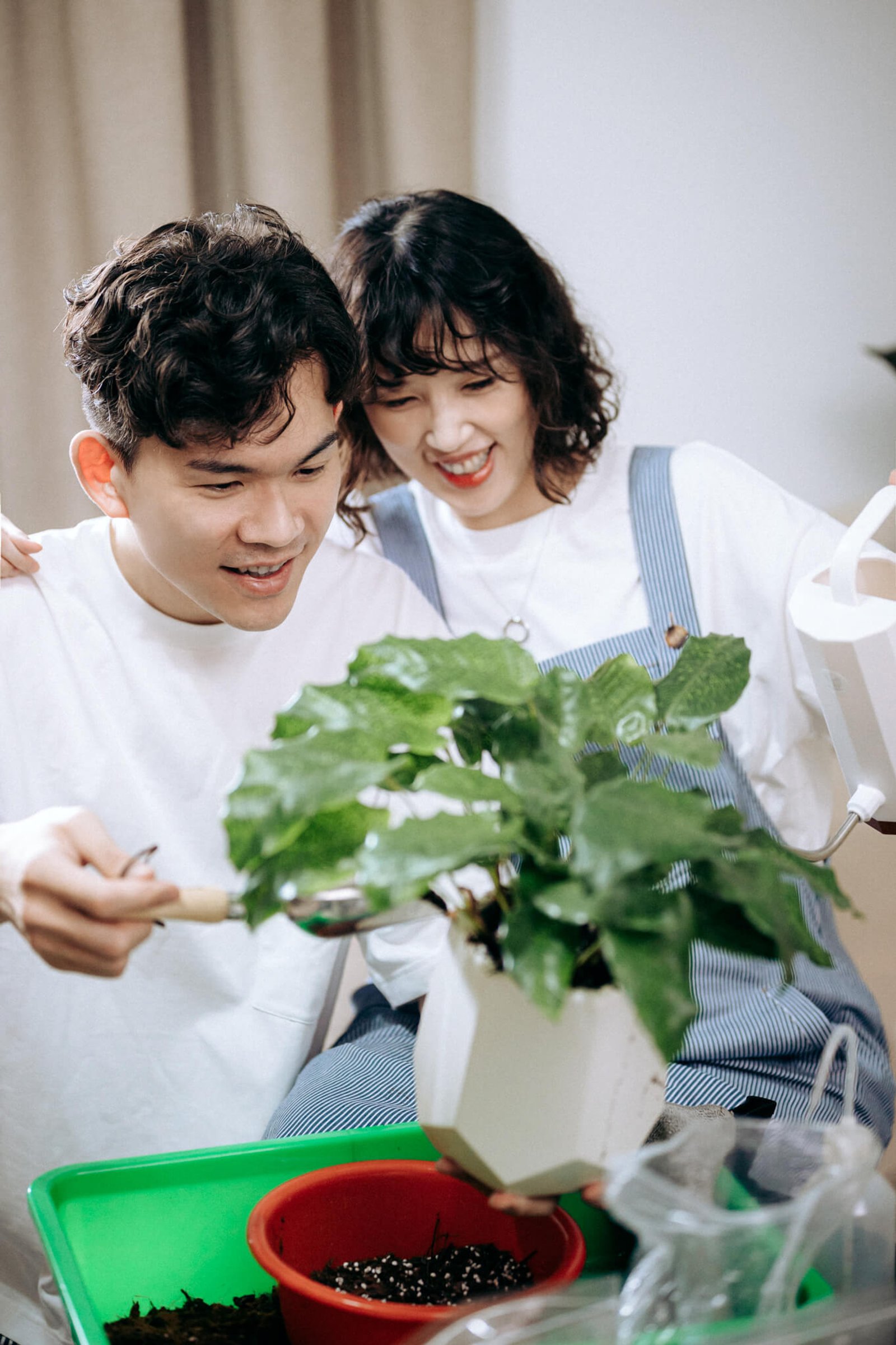 Most Lovely Things / Jason & Pei