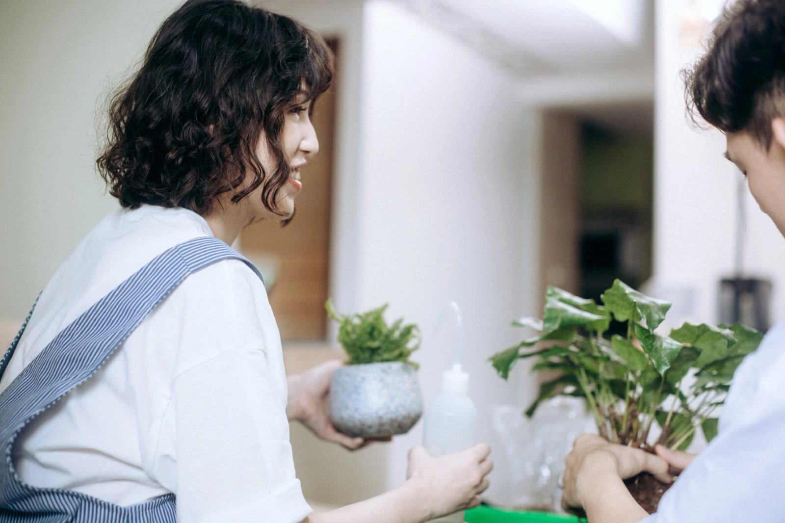 Most Lovely Things / Jason & Pei