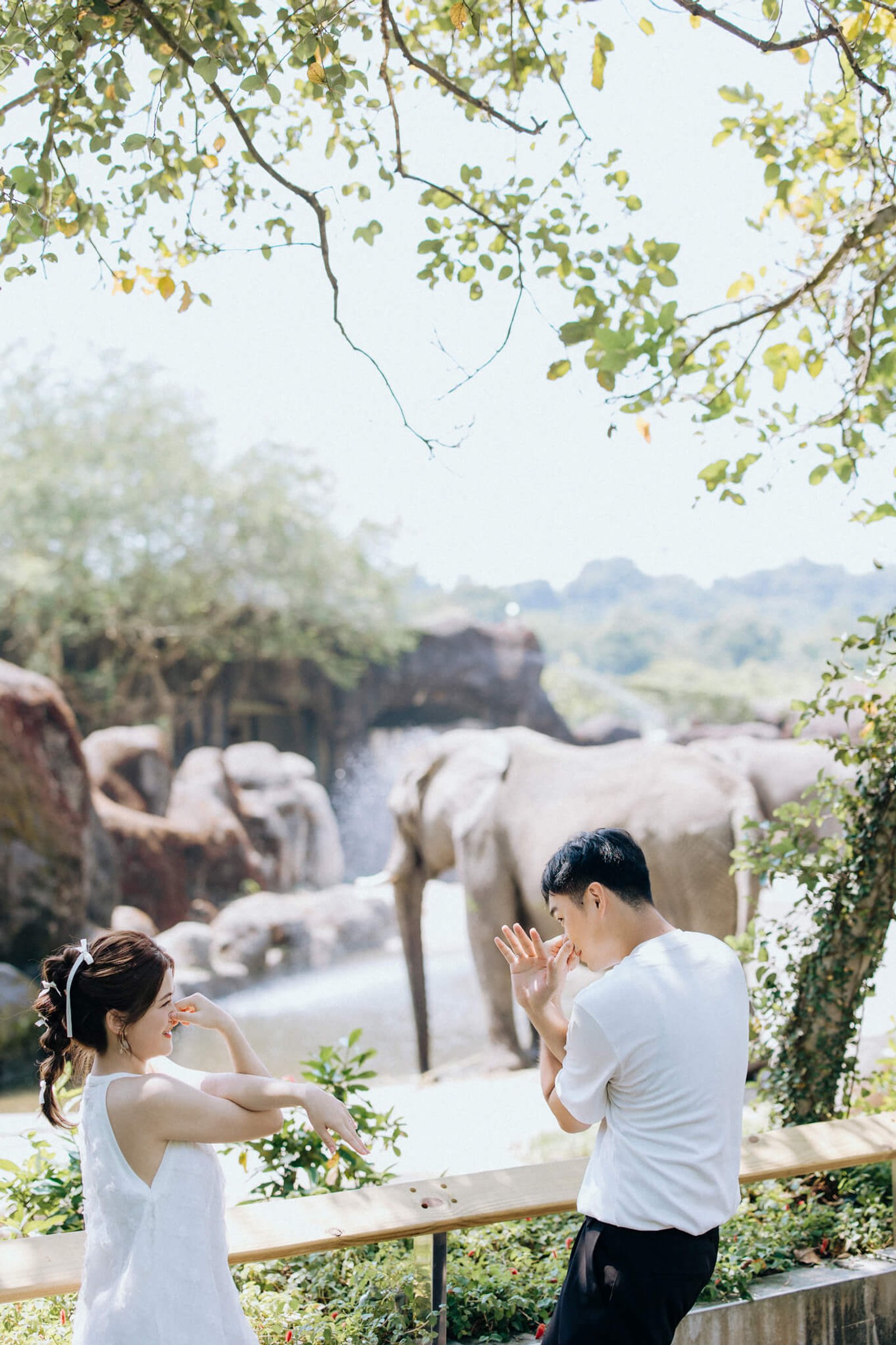 愛情婚紗 / Bill & Angel