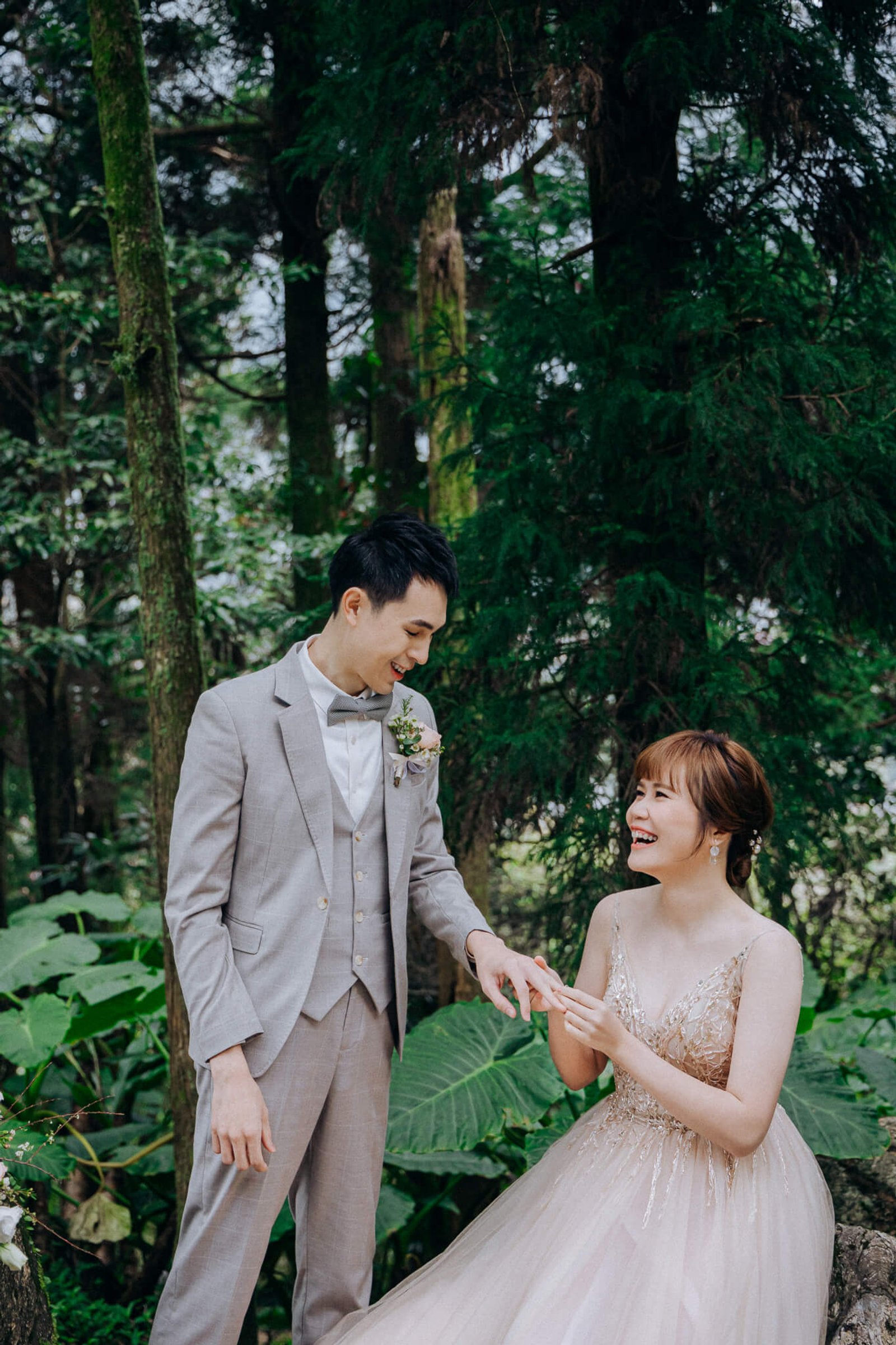 愛情婚紗 /  Davis & Nancy