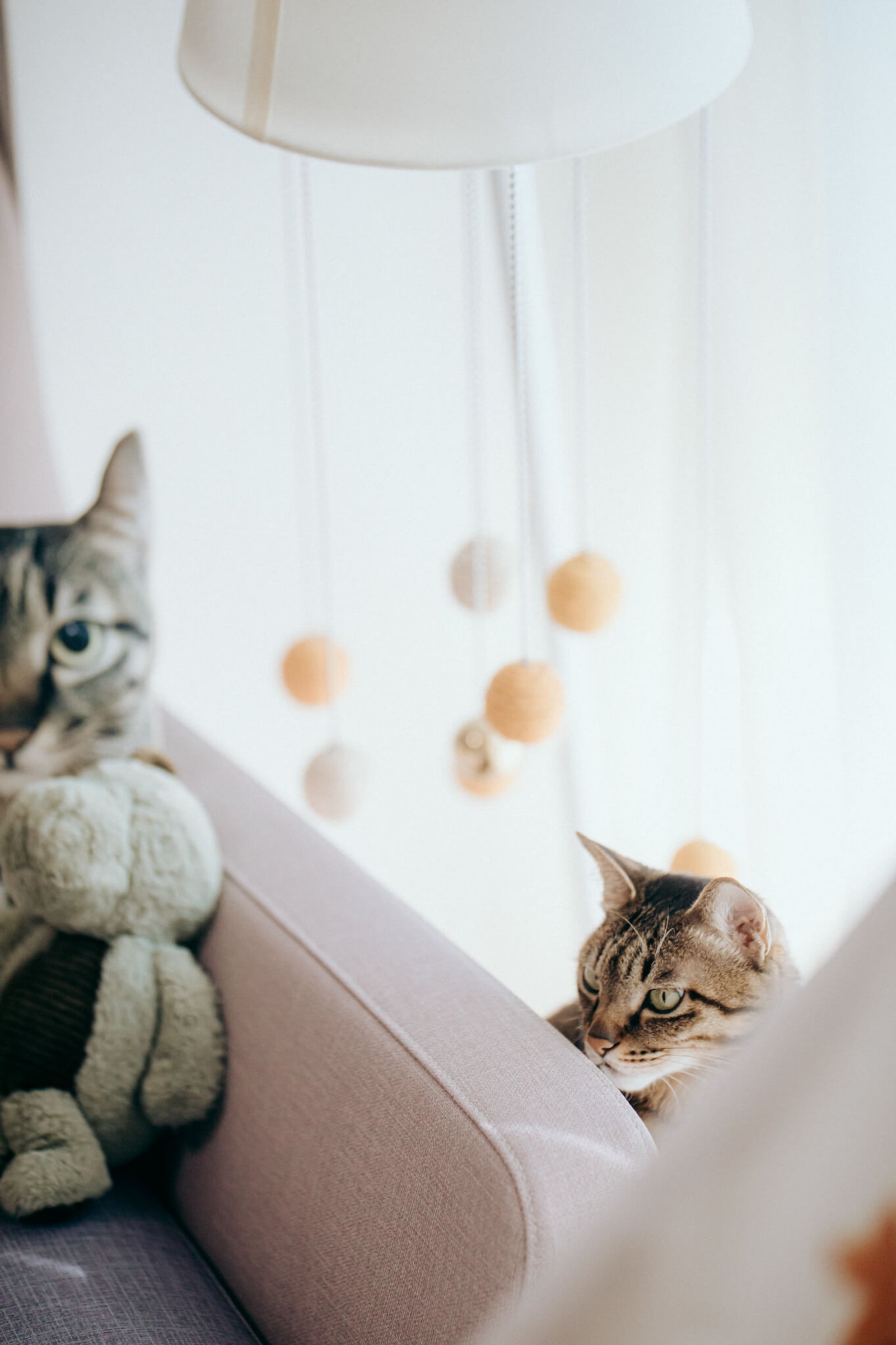 Most Lovely Things / Kemp & Eve