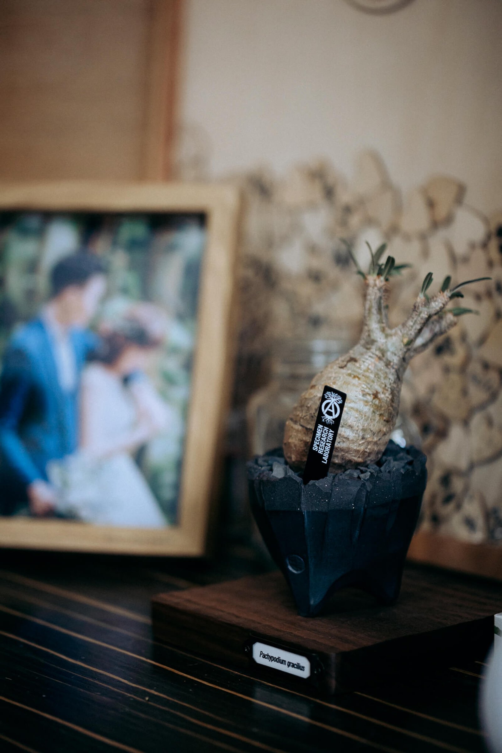 Most Lovely Things / Jason & Pei