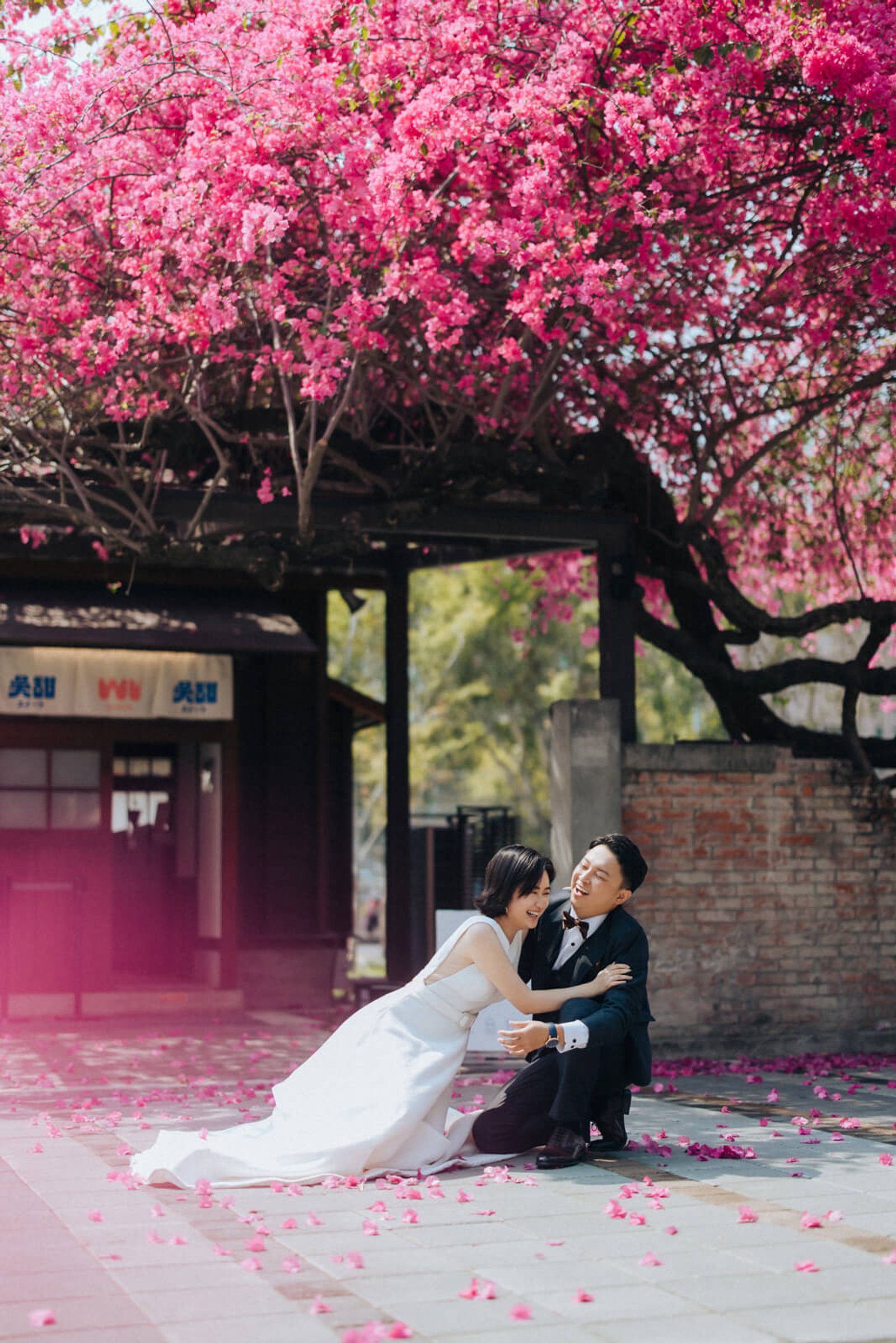 愛情婚紗 / Shieng & Ying