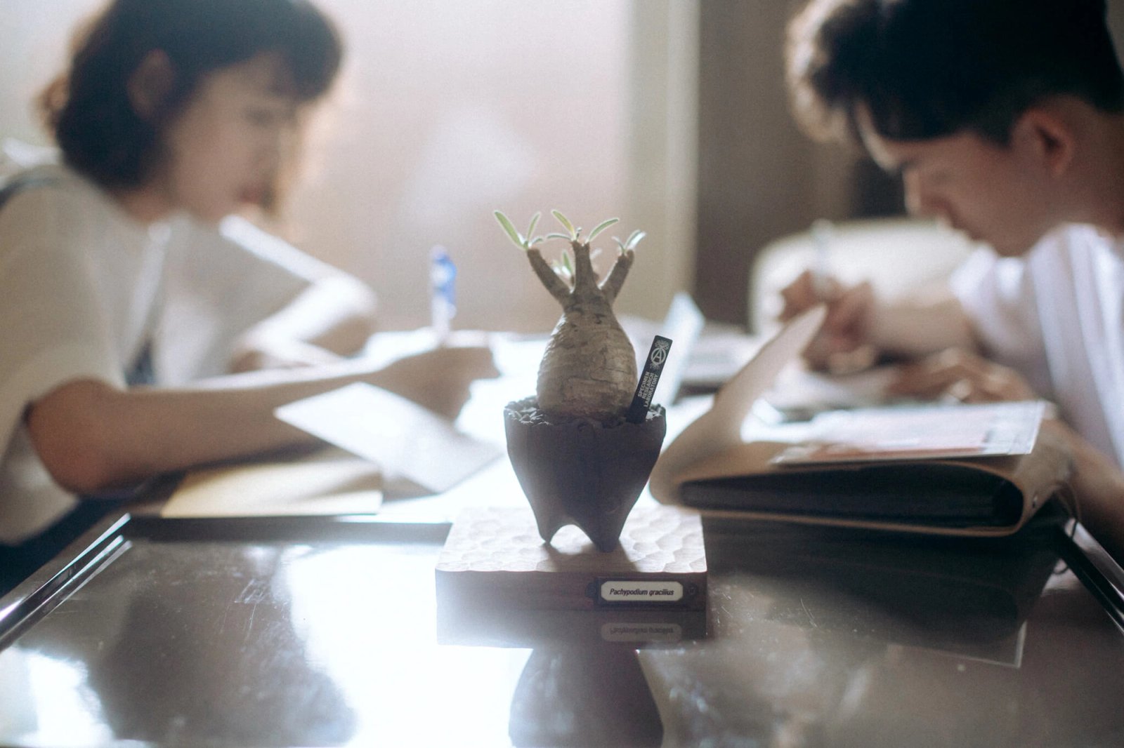 Most Lovely Things / Jason & Pei