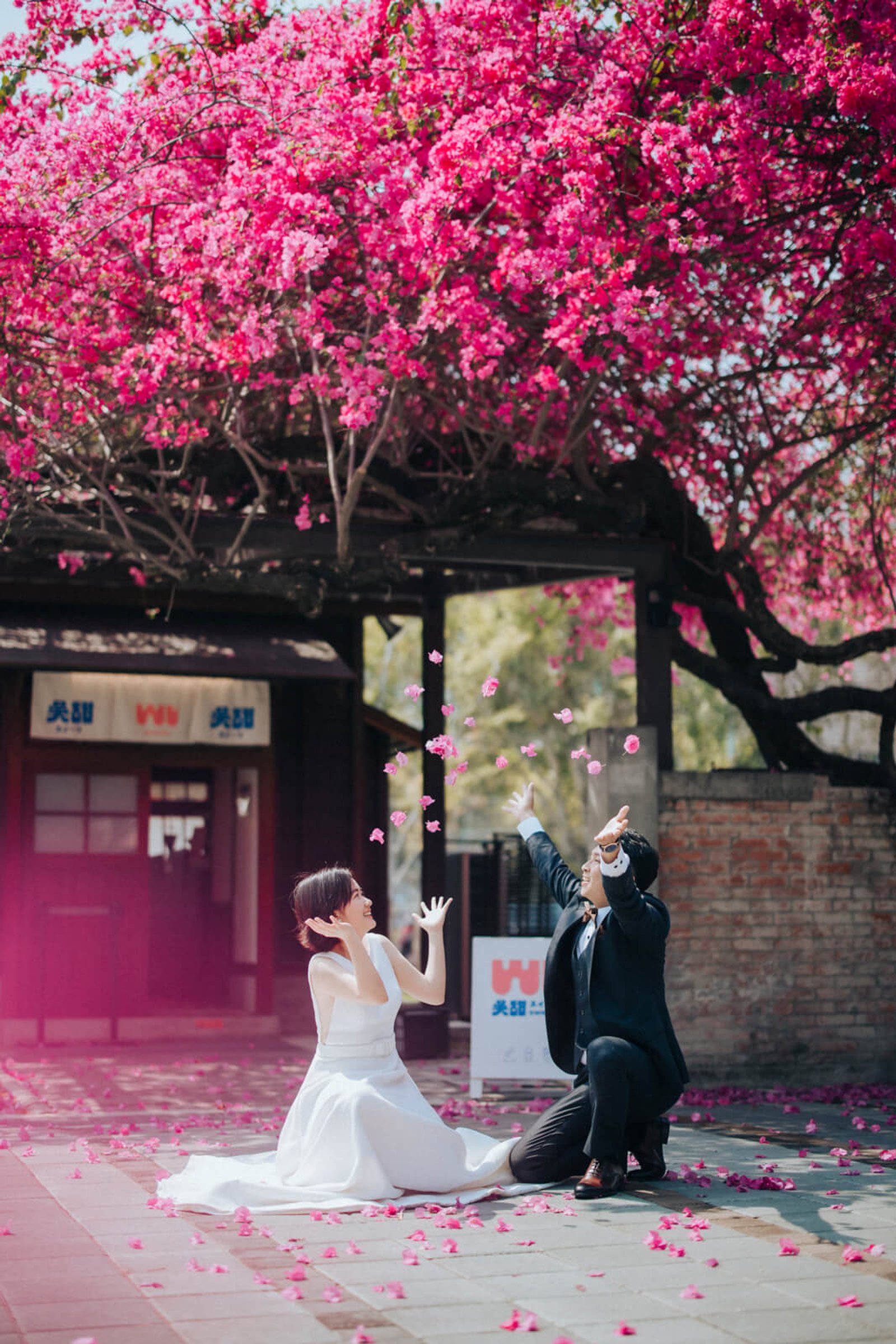 愛情婚紗 / Shieng & Ying