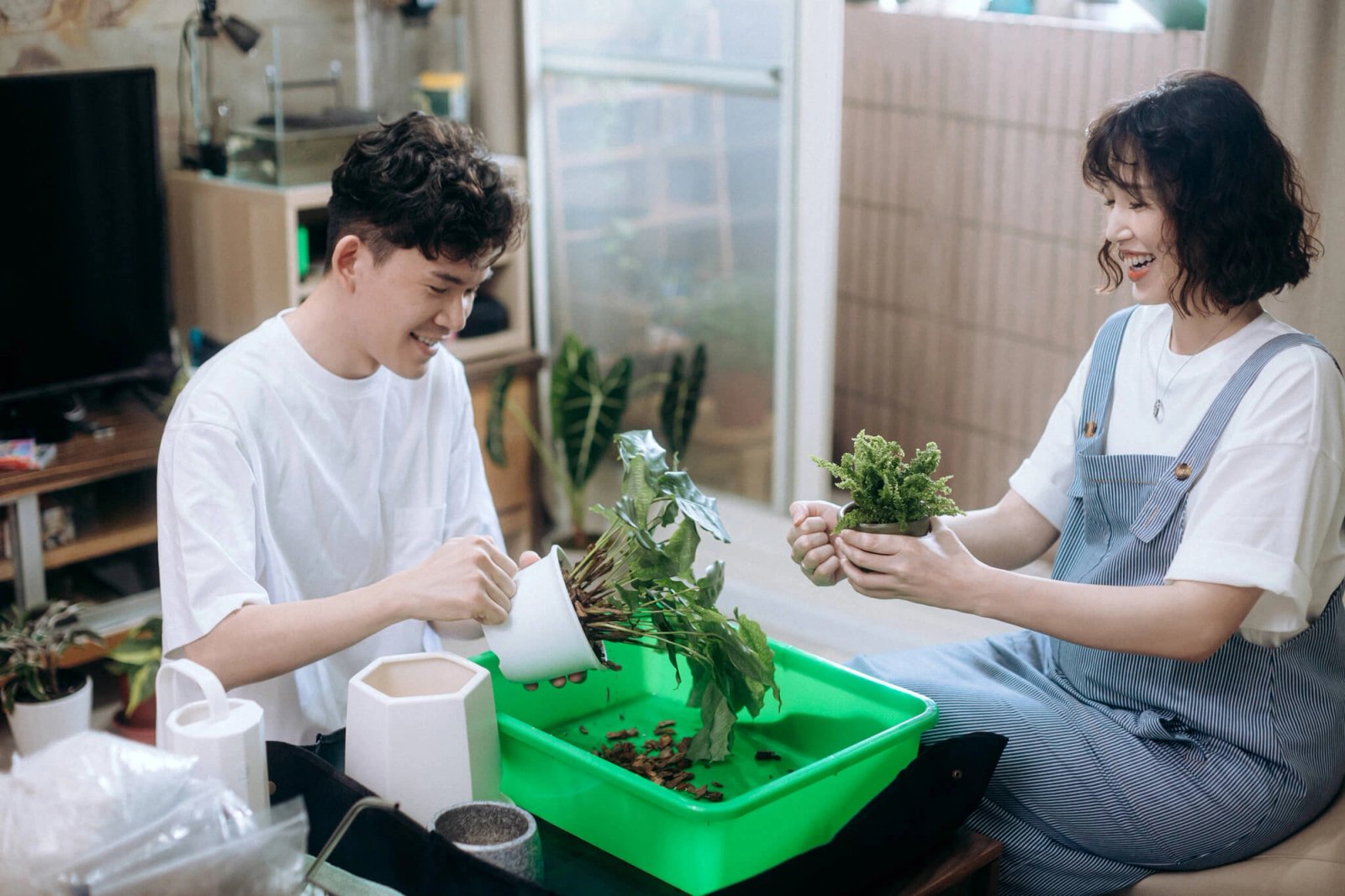 Most Lovely Things / Jason & Pei