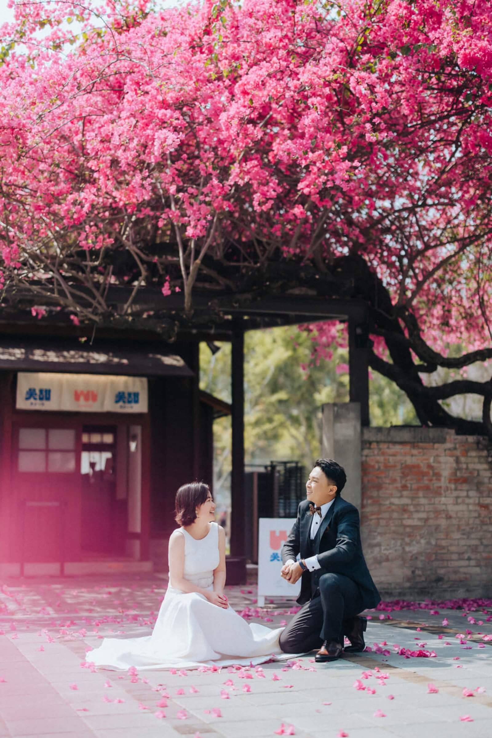 愛情婚紗 / Shieng & Ying