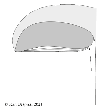 Schema