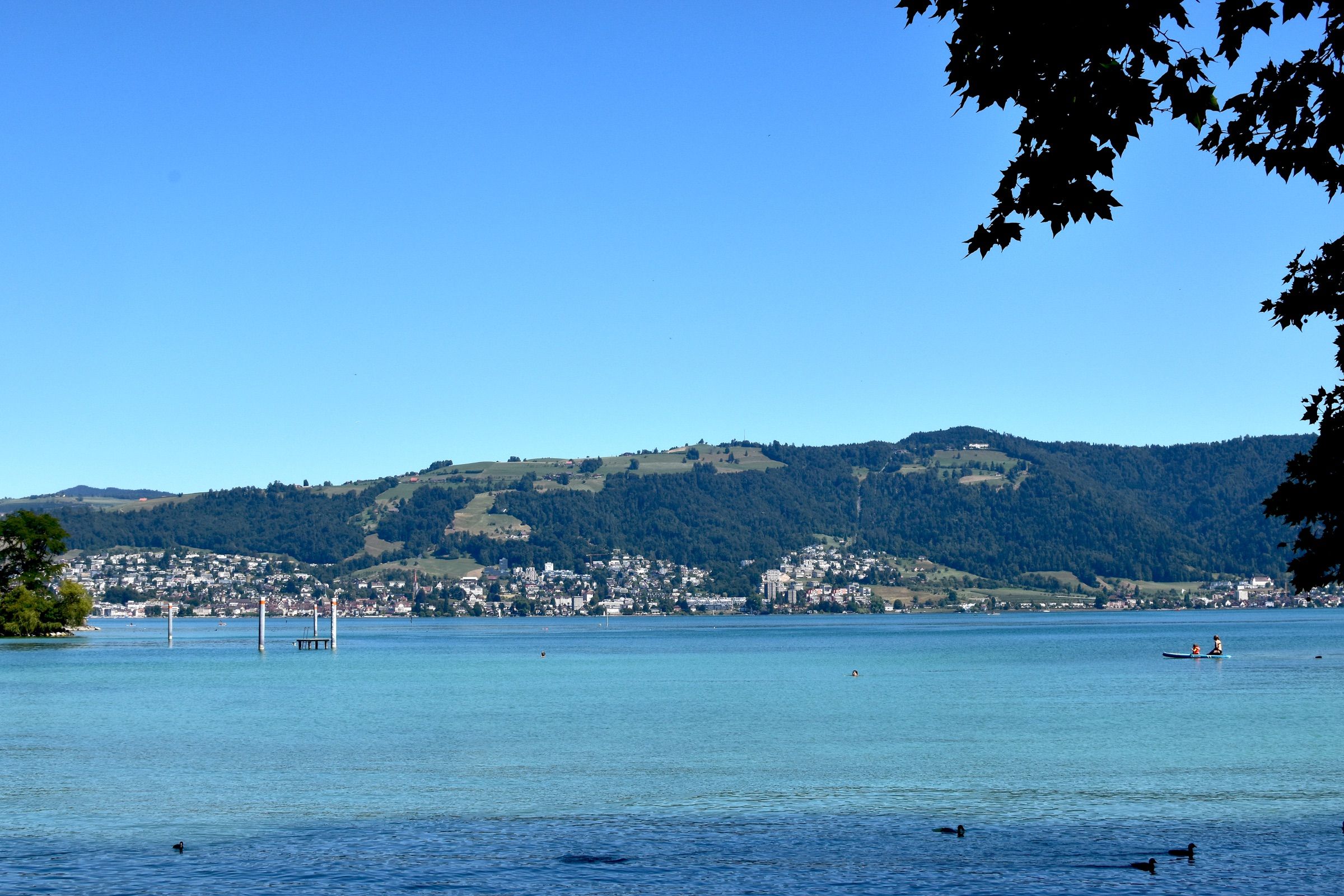 Blick über den Zugersee auf Cham