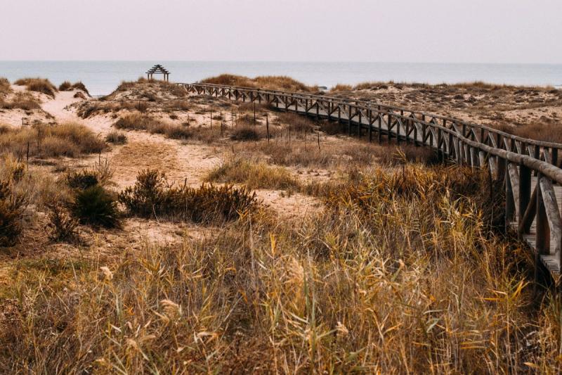 South, to the coast