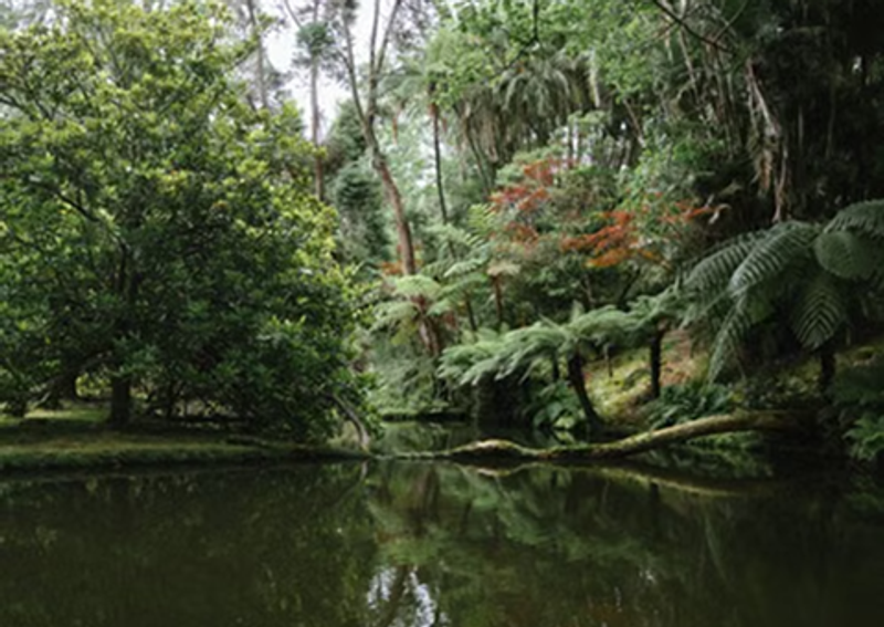 Crater Lakes and thermal springs