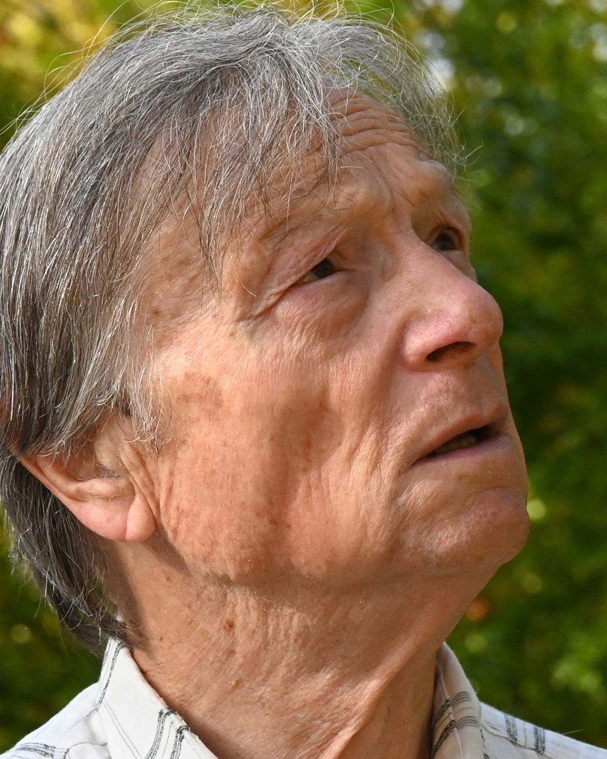 Portrait de Louis Viel