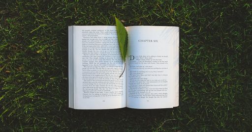 An open book lies on the grassy field with a leaf, evoking relaxation and summer reading vibes.