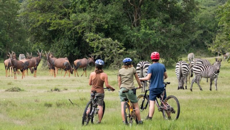Why Kidepo Valley is Africa's Most Authentic Wilderness