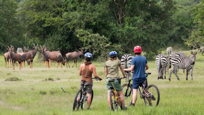 Why Kidepo Valley is Africa's Most Authentic Wilderness