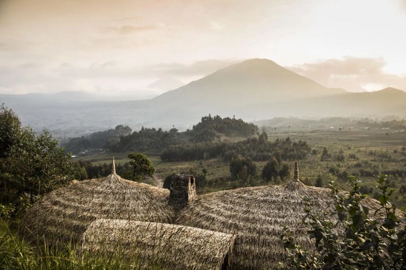 Rwanda Safari Planning 101: Permits, Packing, and Pro-Tips for 2026