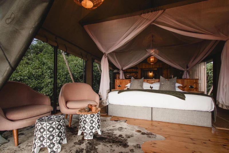 Beyond the Gorillas: Discovering Rwanda's Big Five and Hidden Gems