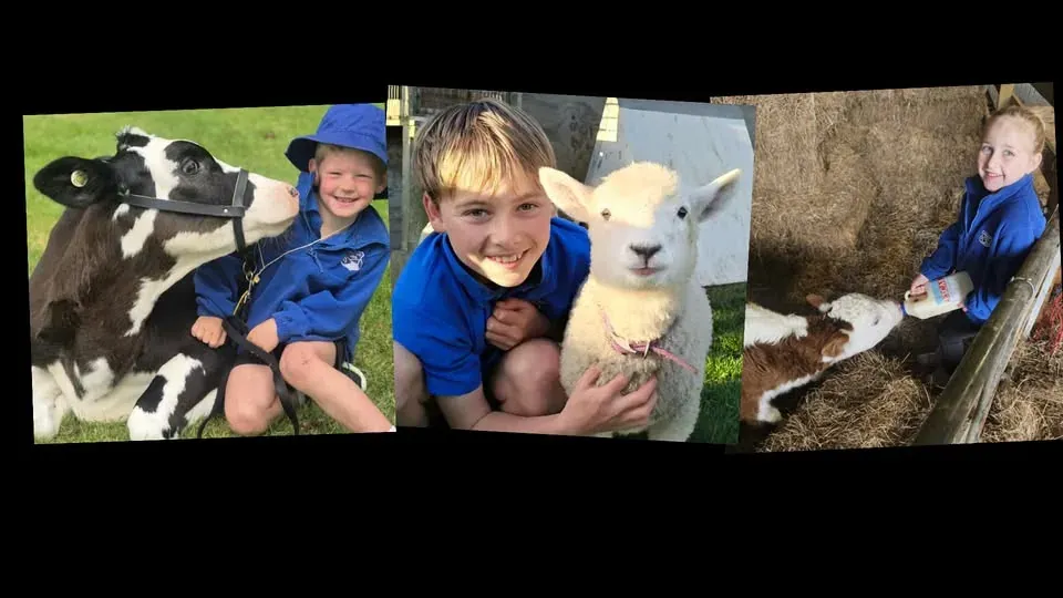 Mangatangi Calf Day
