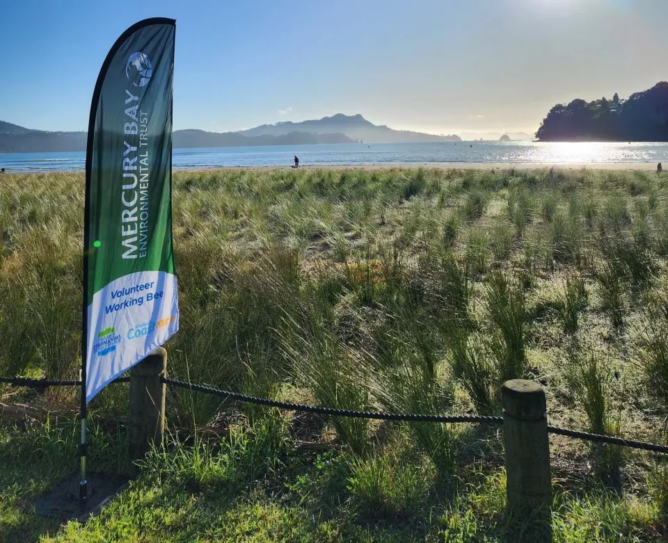 Mercury Bay Coastcare