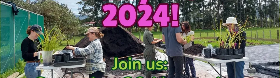 468502127_545066068283759_5704573445880808810_n