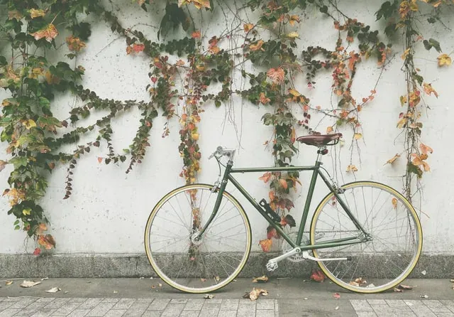 Adult Cycle Courses