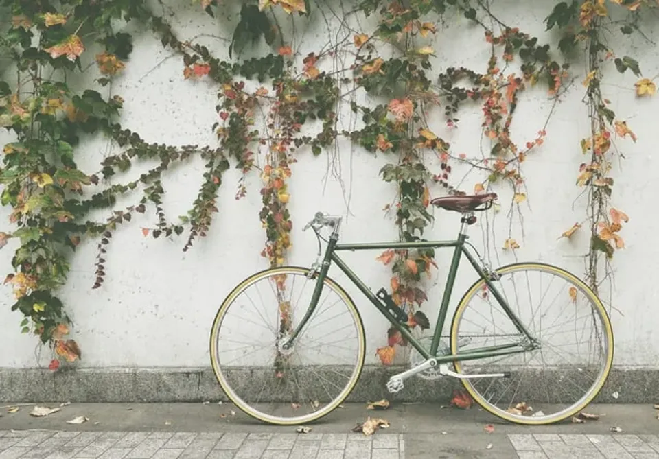Adult Cycle Courses