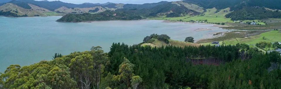 Coromandel Peninsula Image