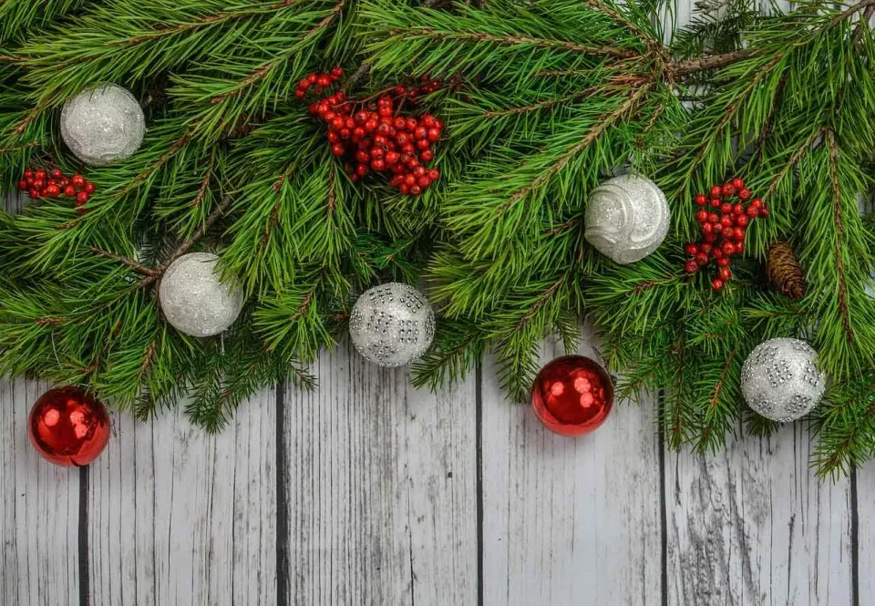 Whitianga Community Christmas Dinner