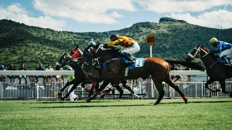 Summer Family Raceday