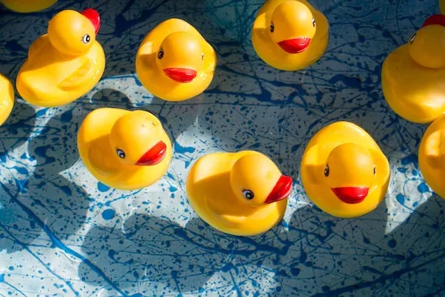 The Great Te Puru Duck Race 2022