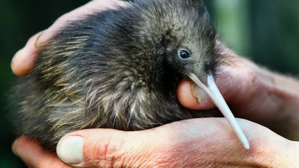 515928256_1035850592094624_6650205299449906128_n