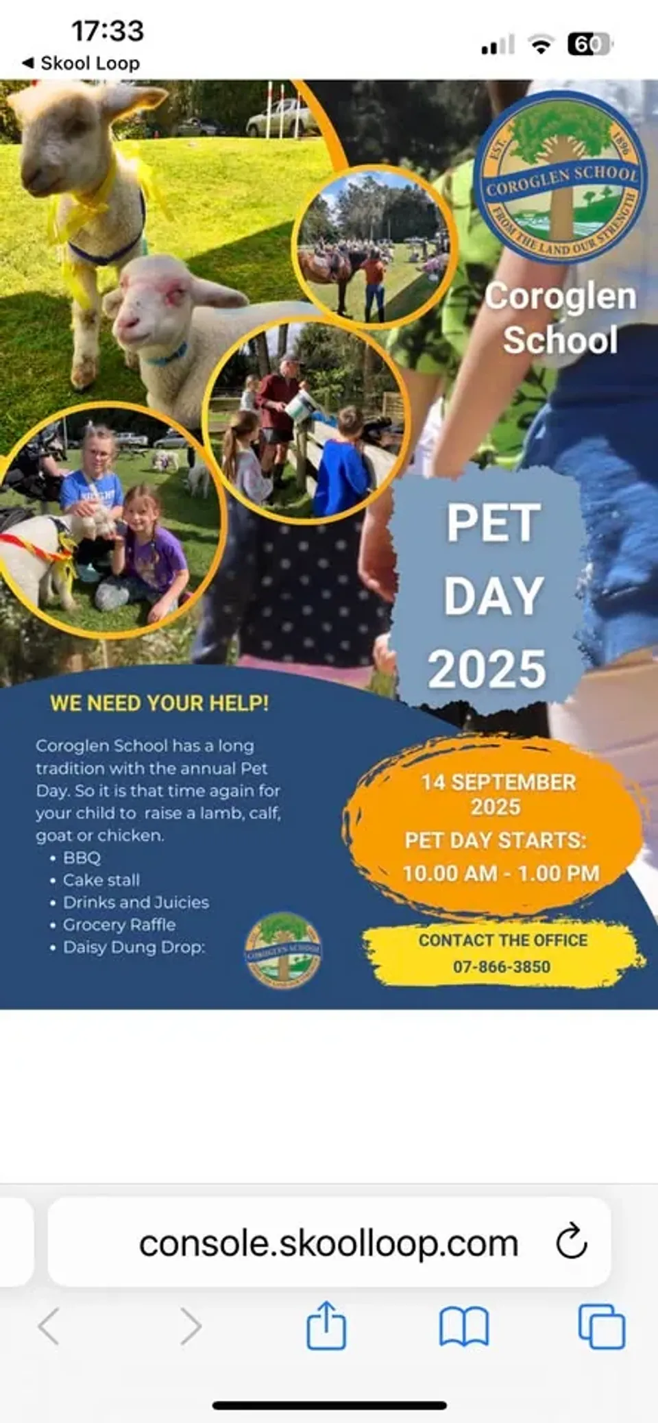 pet day