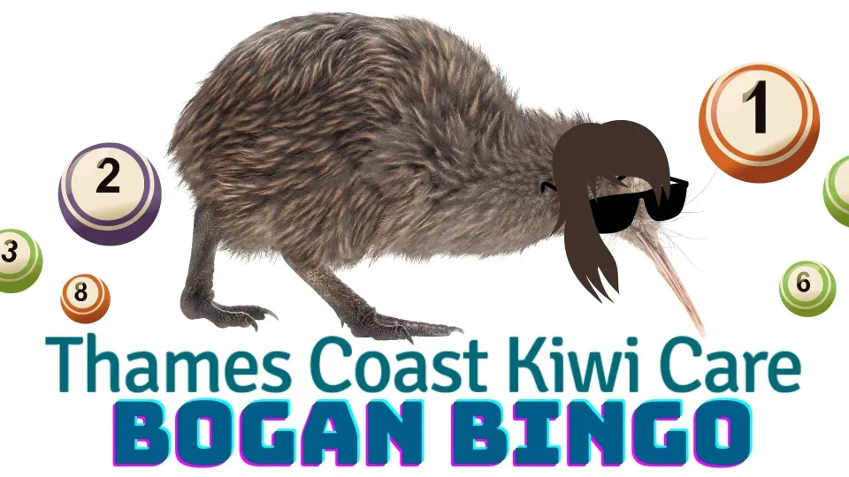 bogun bingo