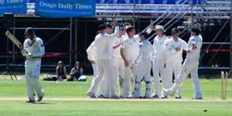 73rd Annual Waikino Cricket Match