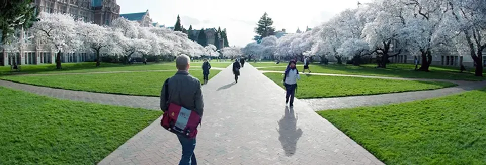 Japanese School Exchange