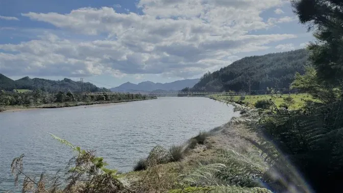 Tairua River Trail Bridge Wide Shot (1)