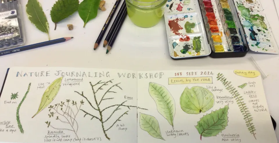 Nature Journaling Workshop