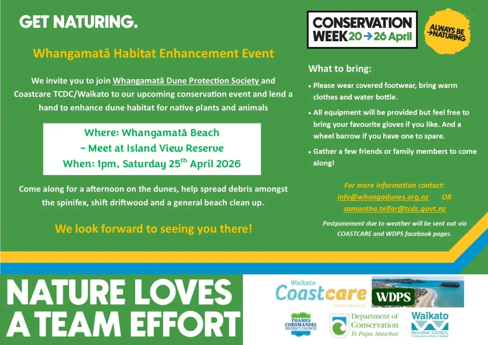 Whangamata Dune Care