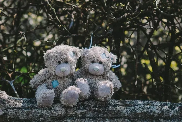 Teddy Bear Picnic – Cancel