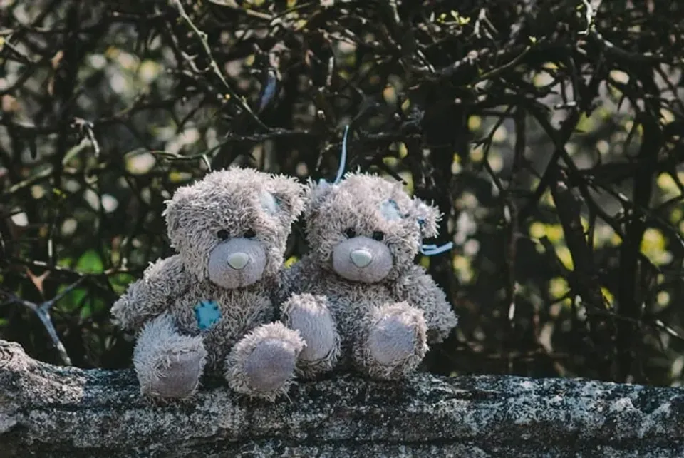 Teddy Bear Picnic – Cancel