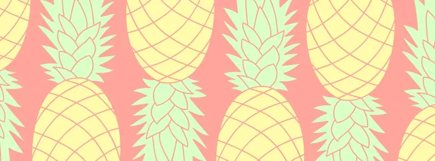 Yellow and Pink Illustrated Pineapple Sketch Facebook Cover