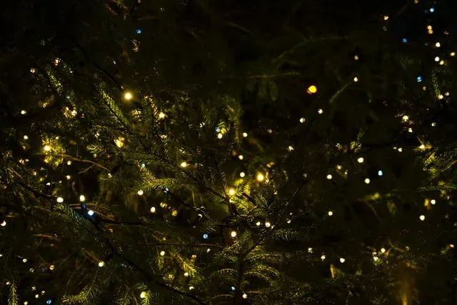 Paeroa Christmas Lights