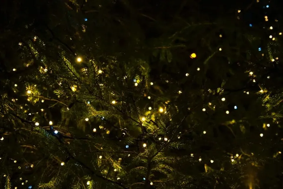 Paeroa Christmas Lights