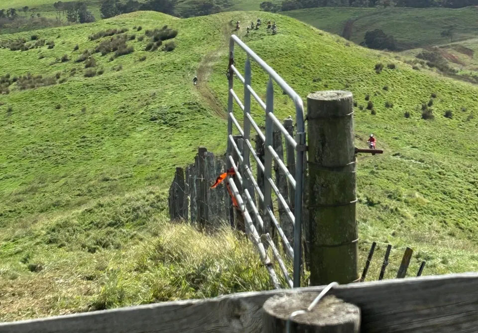 waerenga horse trek