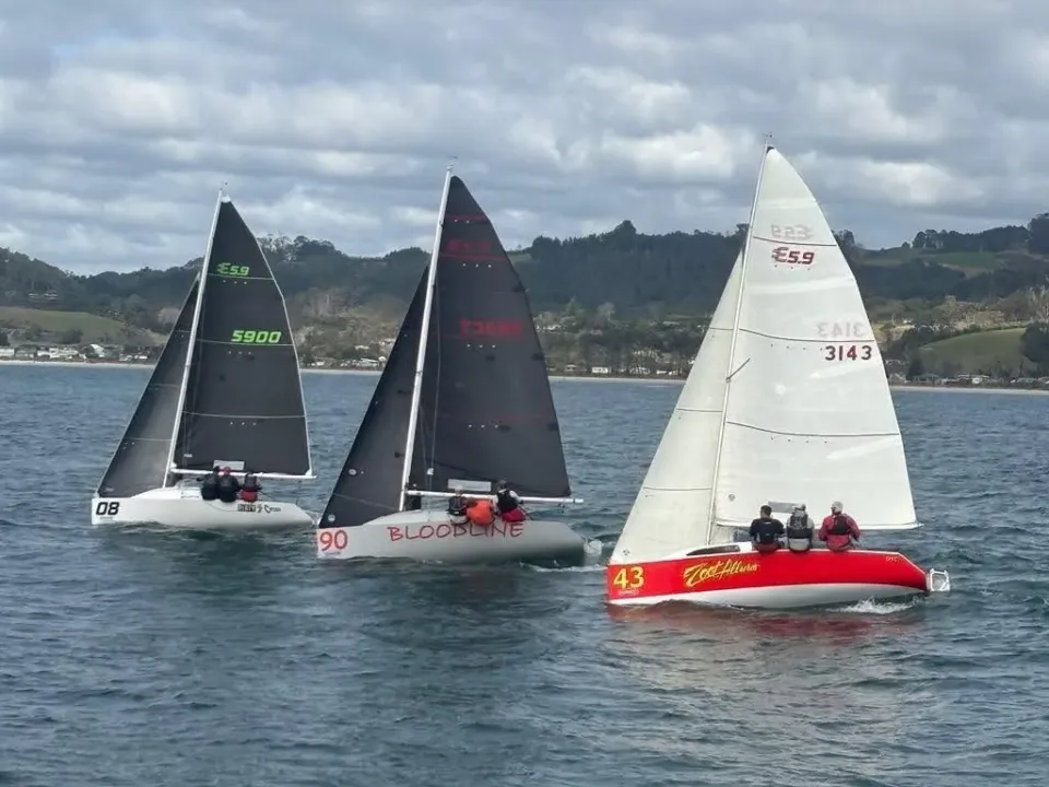 Burnsco Regatta