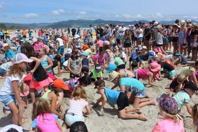 THE BIG DIG MATARANGI