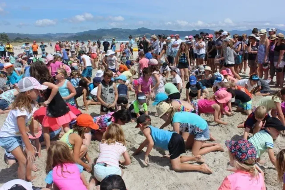 THE BIG DIG MATARANGI