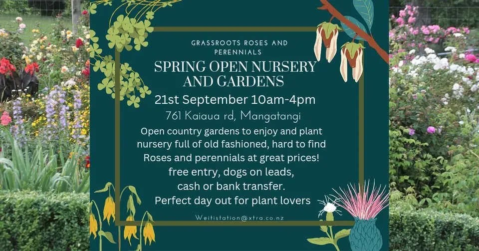Open Nursery