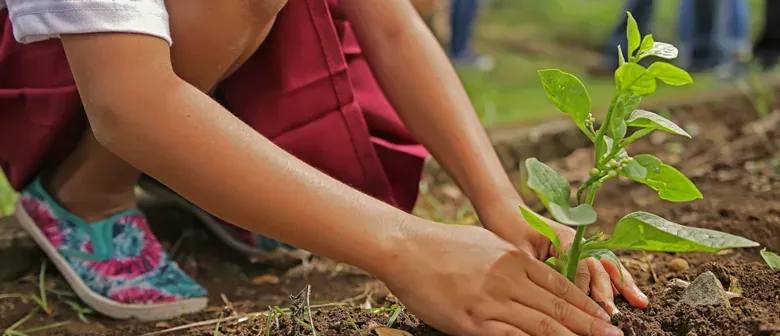 Community Tree Planting Day